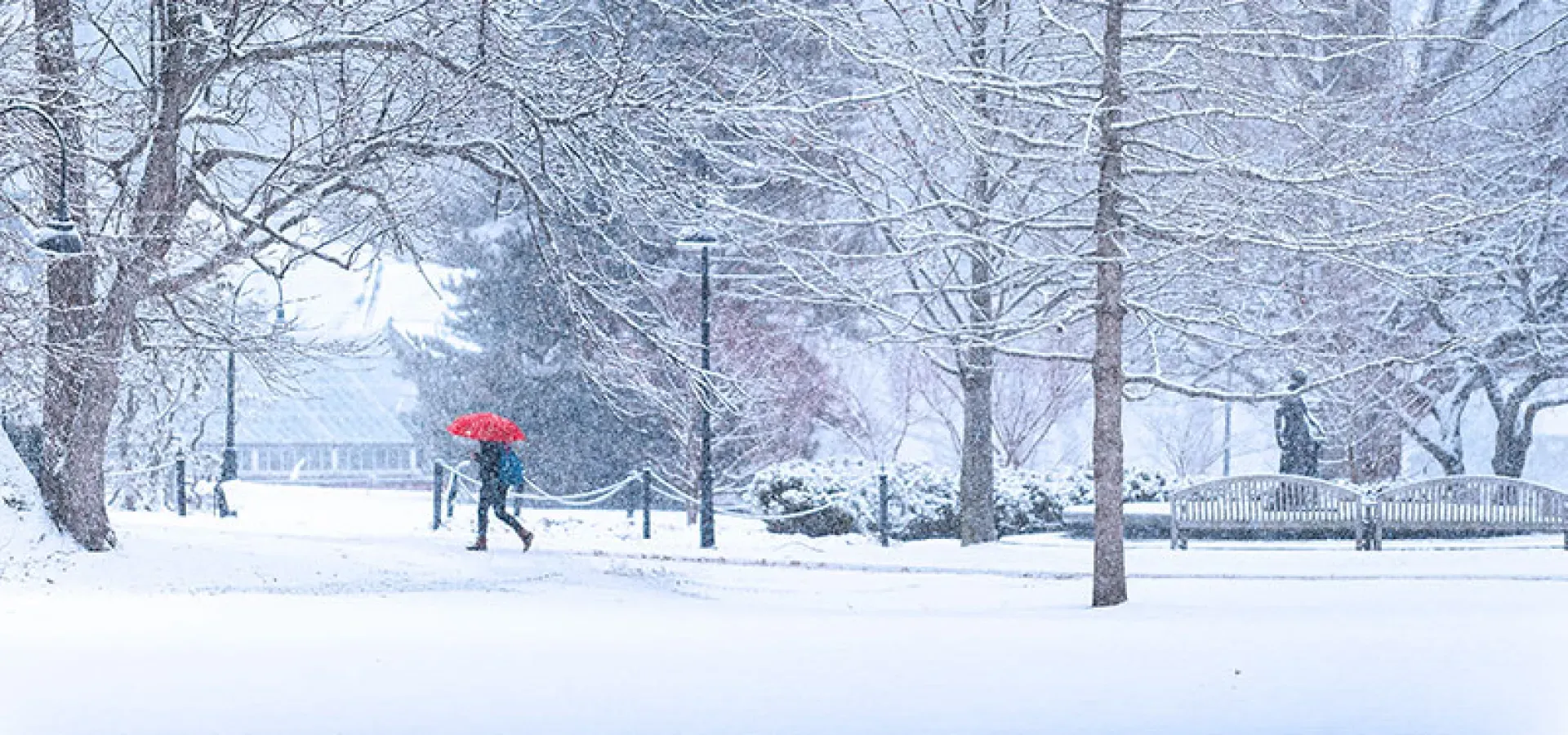 一个打着红伞的单身学生在暴风雪中行走