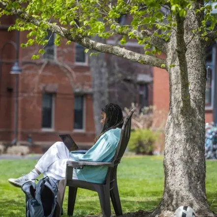 一个学生在树下用笔记本电脑